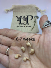 Load image into Gallery viewer, Gestational aged clay fetus