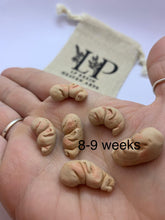 Load image into Gallery viewer, Gestational aged clay fetus