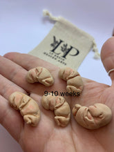 Load image into Gallery viewer, Gestational aged clay fetus