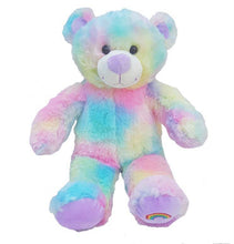 Load image into Gallery viewer, Memorial inclusion Bear- Rainbow