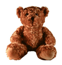 Load image into Gallery viewer, Memorial inclusion Bear- Coco