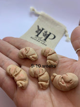 Load image into Gallery viewer, Gestational aged clay fetus
